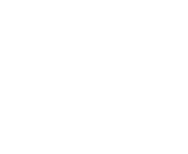 A Health Ally